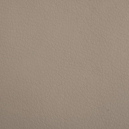 Hondenmand 50x40x30 cm kunstleer cappuccinokleurig